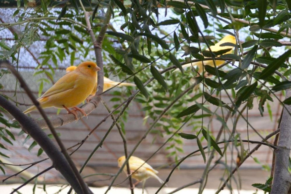 Paringa Caravan Park رنمارك المظهر الخارجي الصورة